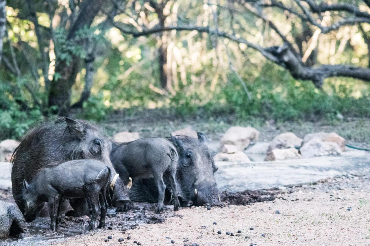 Hello Kruger Hideaway Cottage & Skilpad Studio Марлот-Парк Экстерьер фото