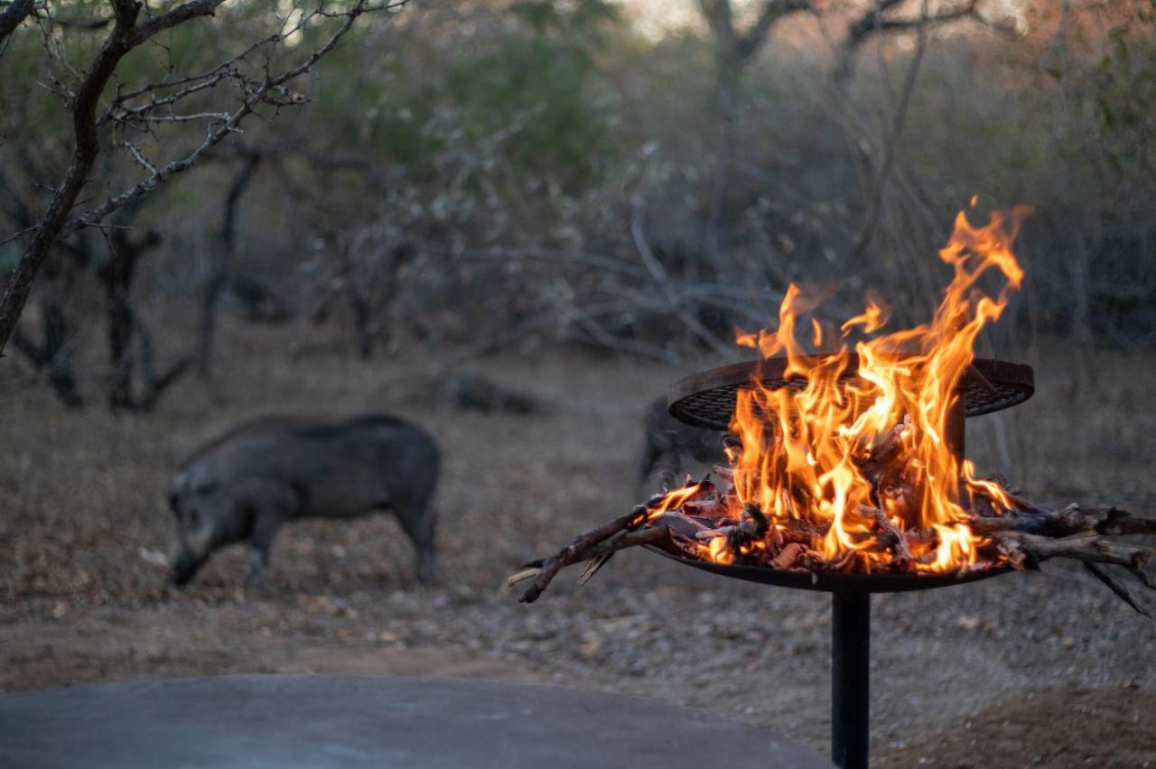 Hello Kruger Hideaway Cottage & Skilpad Studio Марлот-Парк Экстерьер фото