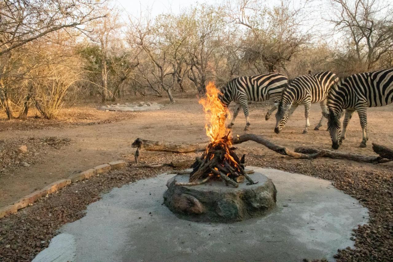 Hello Kruger Hideaway Cottage & Skilpad Studio Марлот-Парк Экстерьер фото