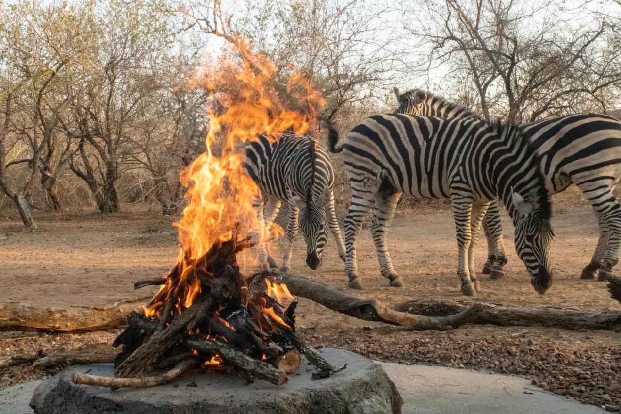 Hello Kruger Hideaway Cottage & Skilpad Studio Марлот-Парк Экстерьер фото